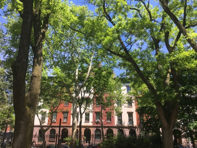 Why is Tree Lopping Important