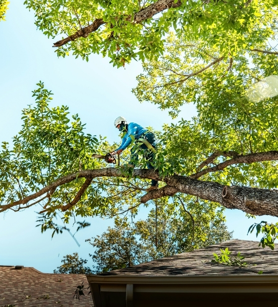 Bundled property maintenance services to save time and keep your property well maintained.