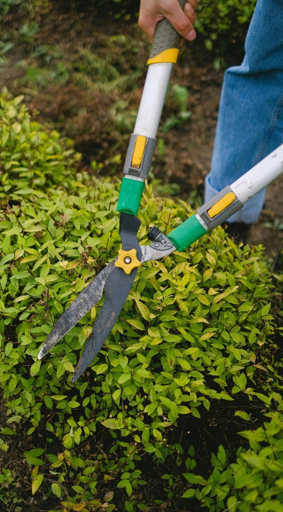 Bundled property maintenance services designed to save time and keep outdoor areas well maintained.